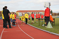 World Marathon Challenge 2013 - Pardubice - obr. 15
